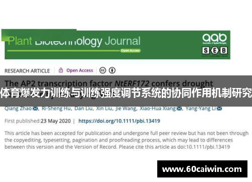 体育爆发力训练与训练强度调节系统的协同作用机制研究