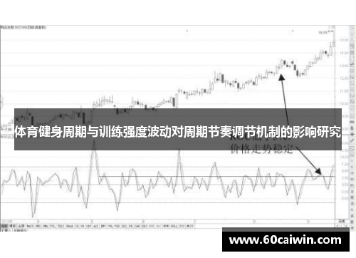 体育健身周期与训练强度波动对周期节奏调节机制的影响研究